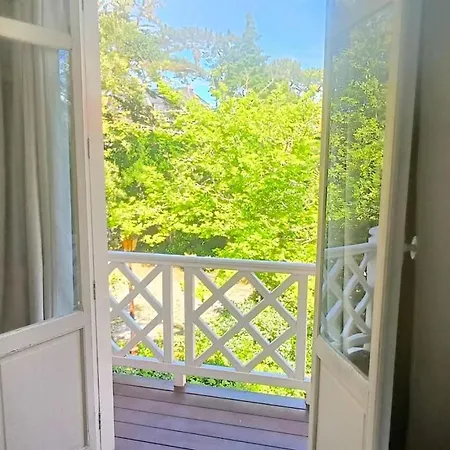 Petit Lotus Apartment