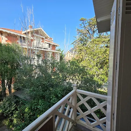 Petit Lotus Appartement