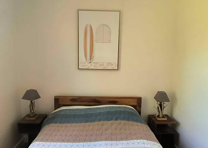 Petit Lotus * Arcachon